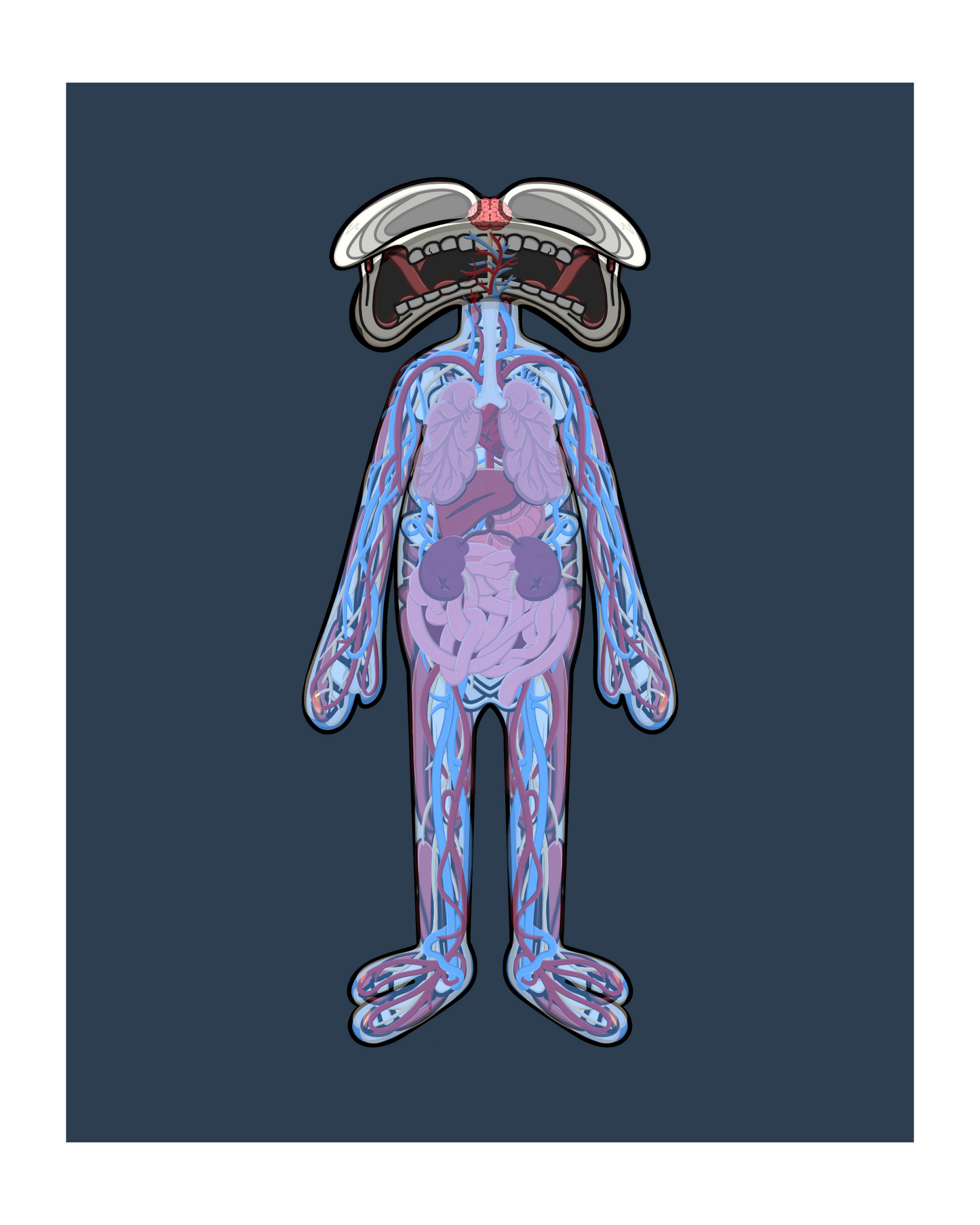 BODY ANATOMY (PRINT)