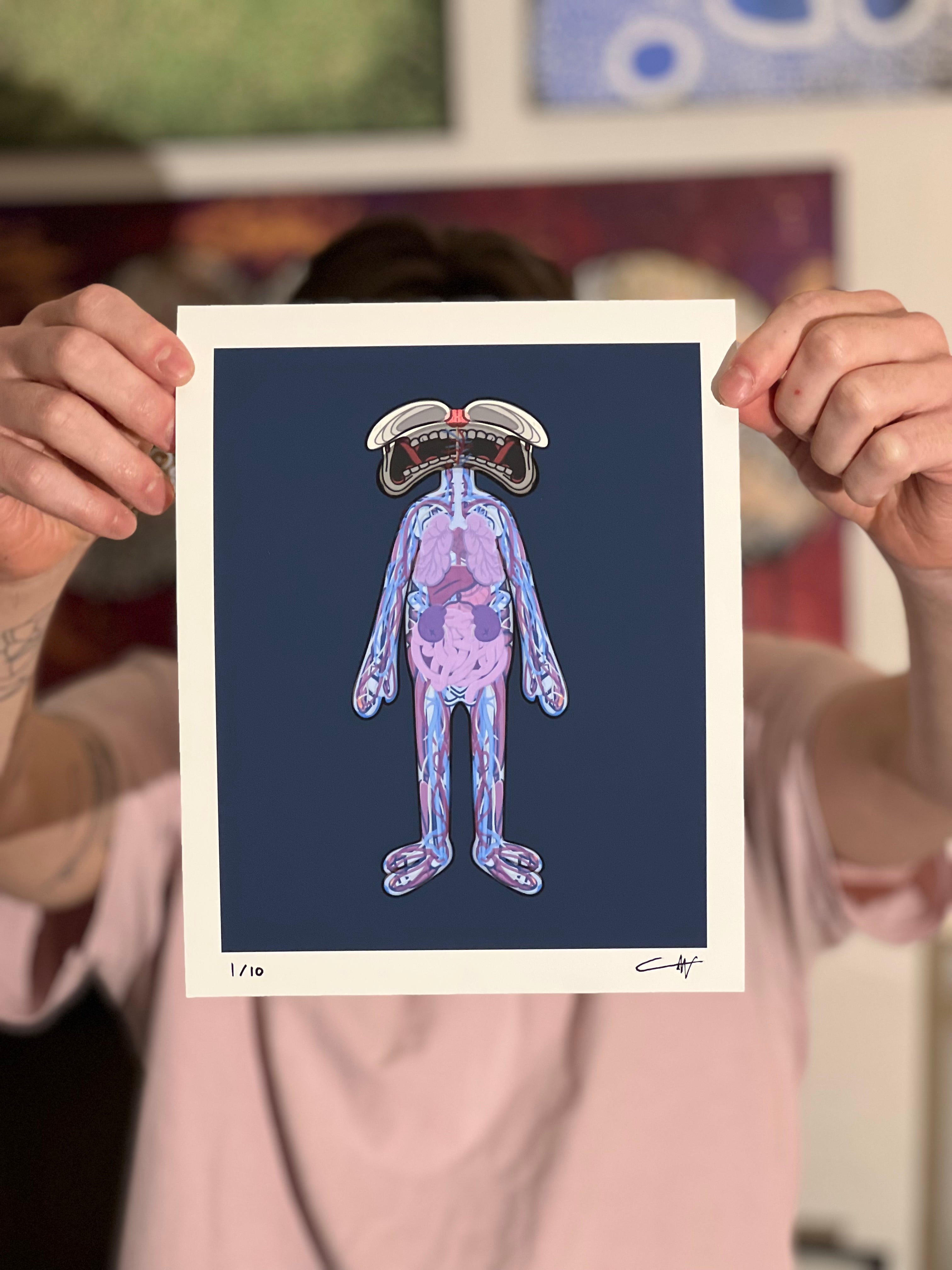 BODY ANATOMY (PRINT)
