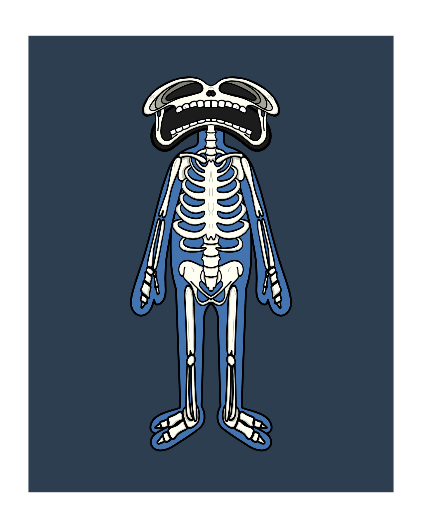 BONES ANATOMY (PRINT)