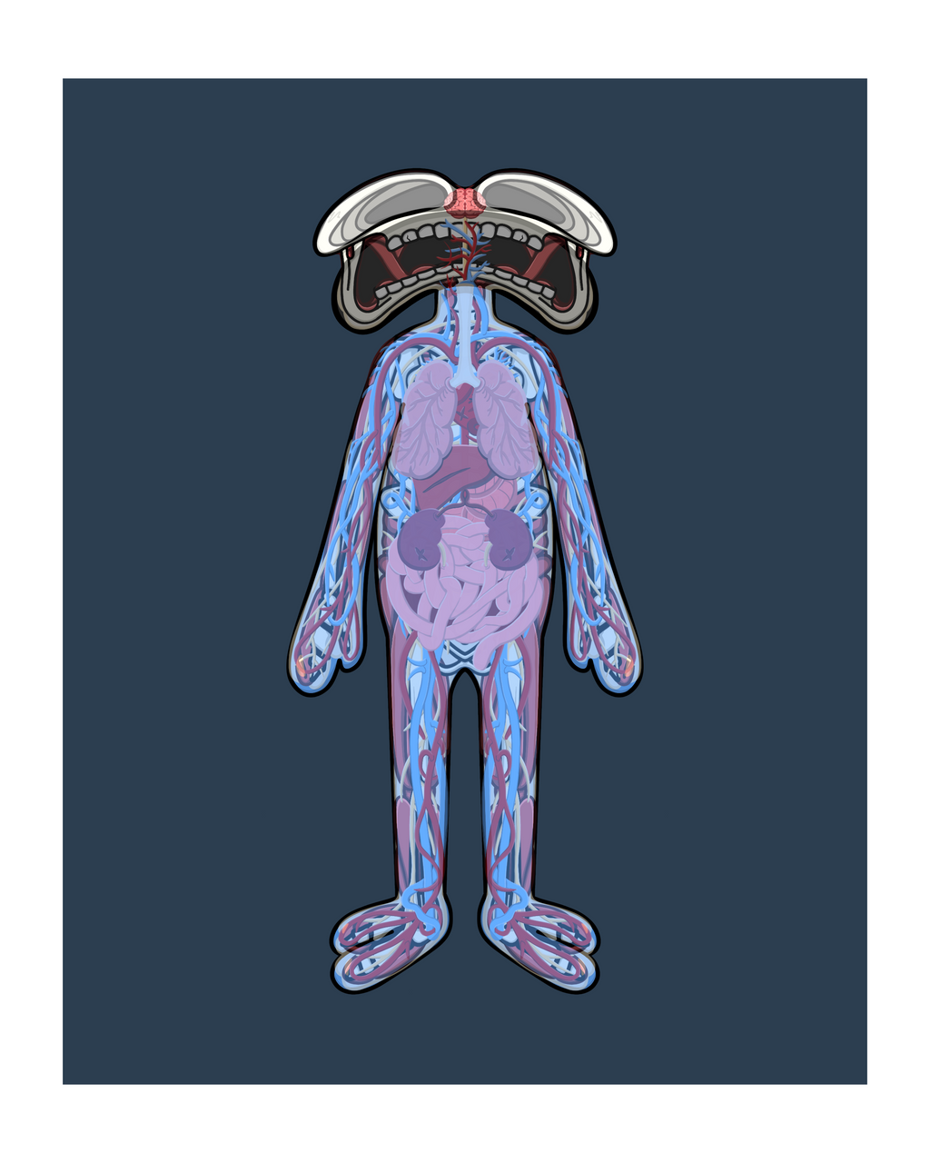 Digital illustration of a stylized cartoon figure with a full-body anatomical view showing internal organs and the circulatory system. The character stands upright against a dark blue background, featuring a wide, expressive mouth and rounded head with a cross-section of the brain visible. Inside the semi-transparent body are illustrated lungs, heart, intestines, stomach, and detailed blue and red blood vessels running throughout the figure’s limbs and torso.