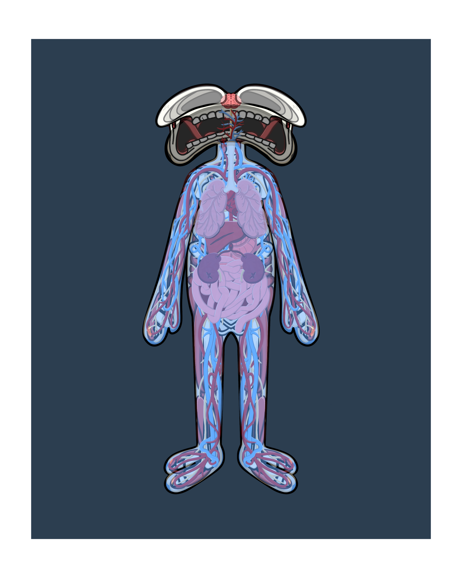 Digital illustration of a stylized cartoon figure with a full-body anatomical view showing internal organs and the circulatory system. The character stands upright against a dark blue background, featuring a wide, expressive mouth and rounded head with a cross-section of the brain visible. Inside the semi-transparent body are illustrated lungs, heart, intestines, stomach, and detailed blue and red blood vessels running throughout the figure’s limbs and torso.